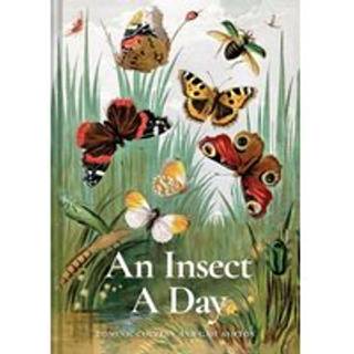 An Insect A Day
