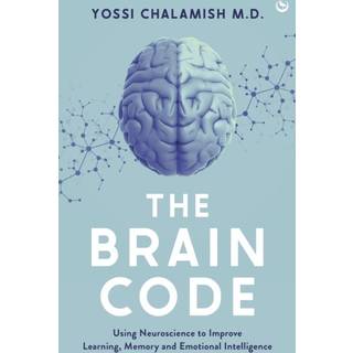 The Brain Code