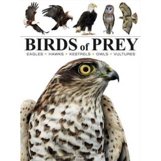 Birds of Prey