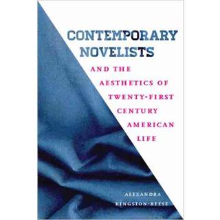 Contemporary Novelists and the Aesthetics of Twenty-First Century American Life