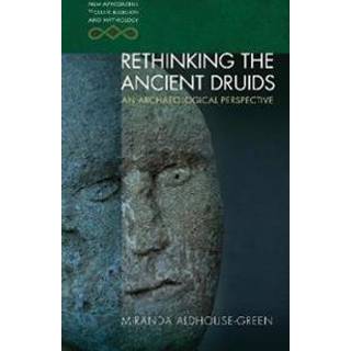 Rethinking the Ancient Druids