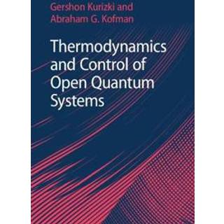 Thermodynamics and Control of Open Quantum Systems