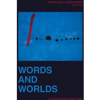 Words and Worlds