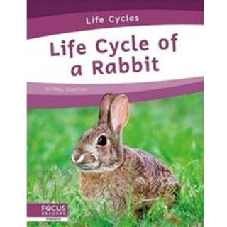 Life Cycle of a Rabbit
