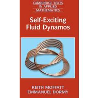 Self-Exciting Fluid Dynamos