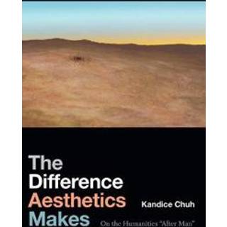 The Difference Aesthetics Makes