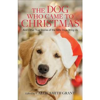 The Dog Who Came to Christmas – And Other True Stories of the Gifts Dogs Bring Us