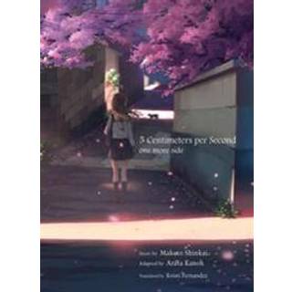 5 Centimeters Per Second: one more side