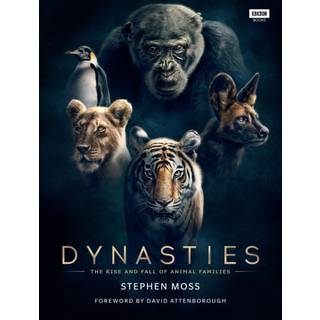 Dynasties