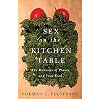Sex on the Kitchen Table
