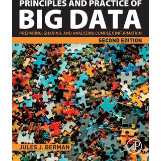 Principles and Practice of Big Data