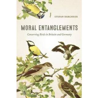 Moral Entanglements