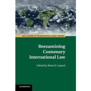 Reexamining Customary International Law