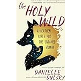 The Holy Wild