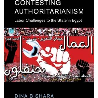 Contesting Authoritarianism