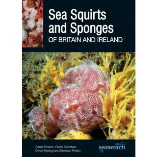 Sea Squirts and Sponges of Britain and Ireland