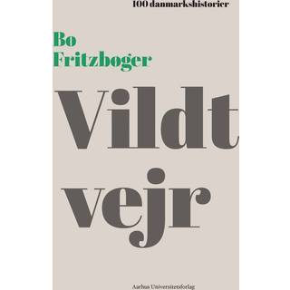 Bo Fritzbøger - Vildt vejr - 100 danmarkshistorier 17