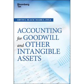 Accounting for Goodwill and Other Intangible Assets