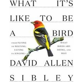 What It's Like to be a Bird