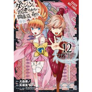 Is It Wrong to Try to Pick Up Girls in a Dungeon? On the Side: Sword Oratoria, Vol. 12 (manga)