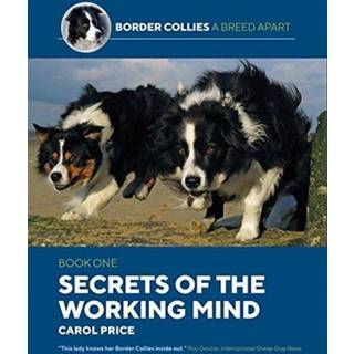 Secrets Of The Working Mind