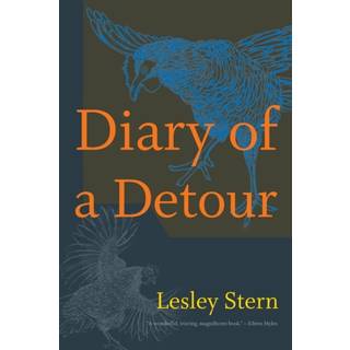 Diary of a Detour