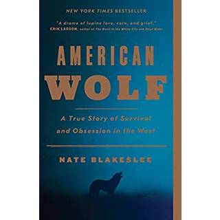 American Wolf
