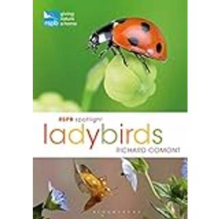 RSPB Spotlight Ladybirds