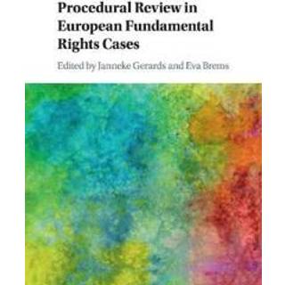 Procedural Review in European Fundamental Rights Cases