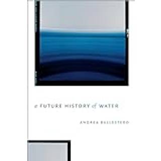 A Future History of Water