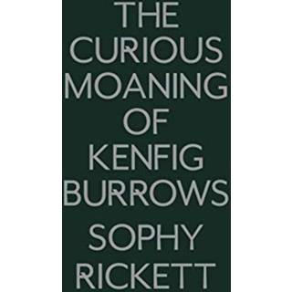 The Curious Moaning of Kenfig Burrows