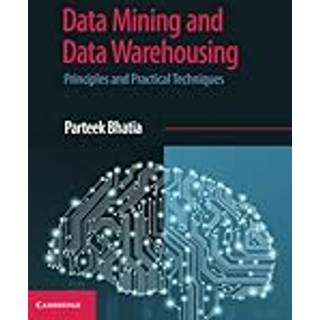 Data Mining and Data Warehousing