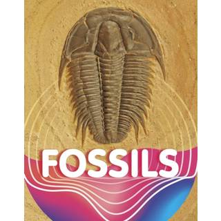 Fossils