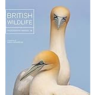 British Wildlife Photography Awards 10