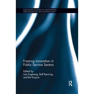 Framing Innovation in Public Service Sectors