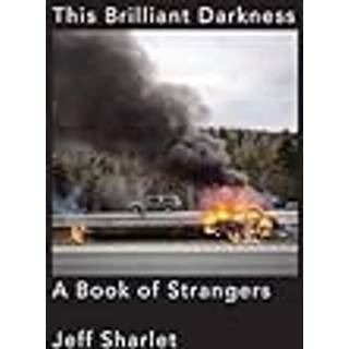 This Brilliant Darkness - A Book of Strangers
