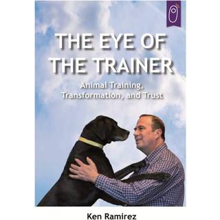 The Eye Of The Trainer
