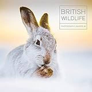 British Wildlife Photography Awards 9 (3, 2018) | Maggie Gowan