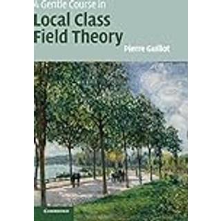 A Gentle Course in Local Class Field Theory