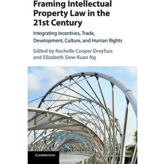 Framing Intellectual Property Law in the 21st Century