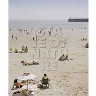 Claudius Schulze: State of Nature