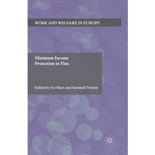 Minimum Income Protection in Flux