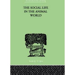 The Social Life In The Animal World