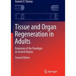 Tissue and Organ Regeneration in Adults