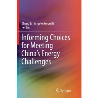 Informing Choices for Meeting China’s Energy Challenges