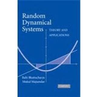 Random Dynamical Systems