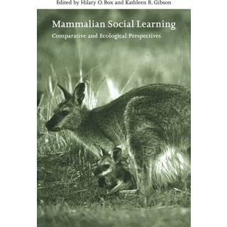 Mammalian Social Learning