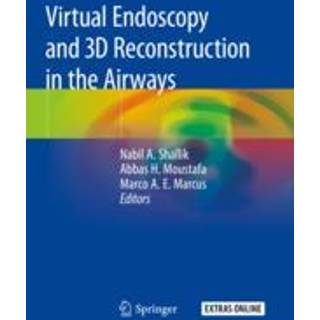 Virtual Endoscopy and 3D Reconstruction in the Airways
