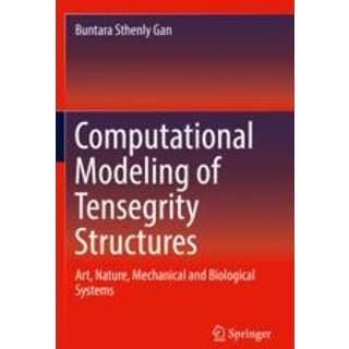 Computational Modeling of Tensegrity Structures