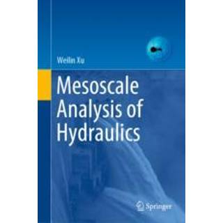 Mesoscale Analysis of Hydraulics